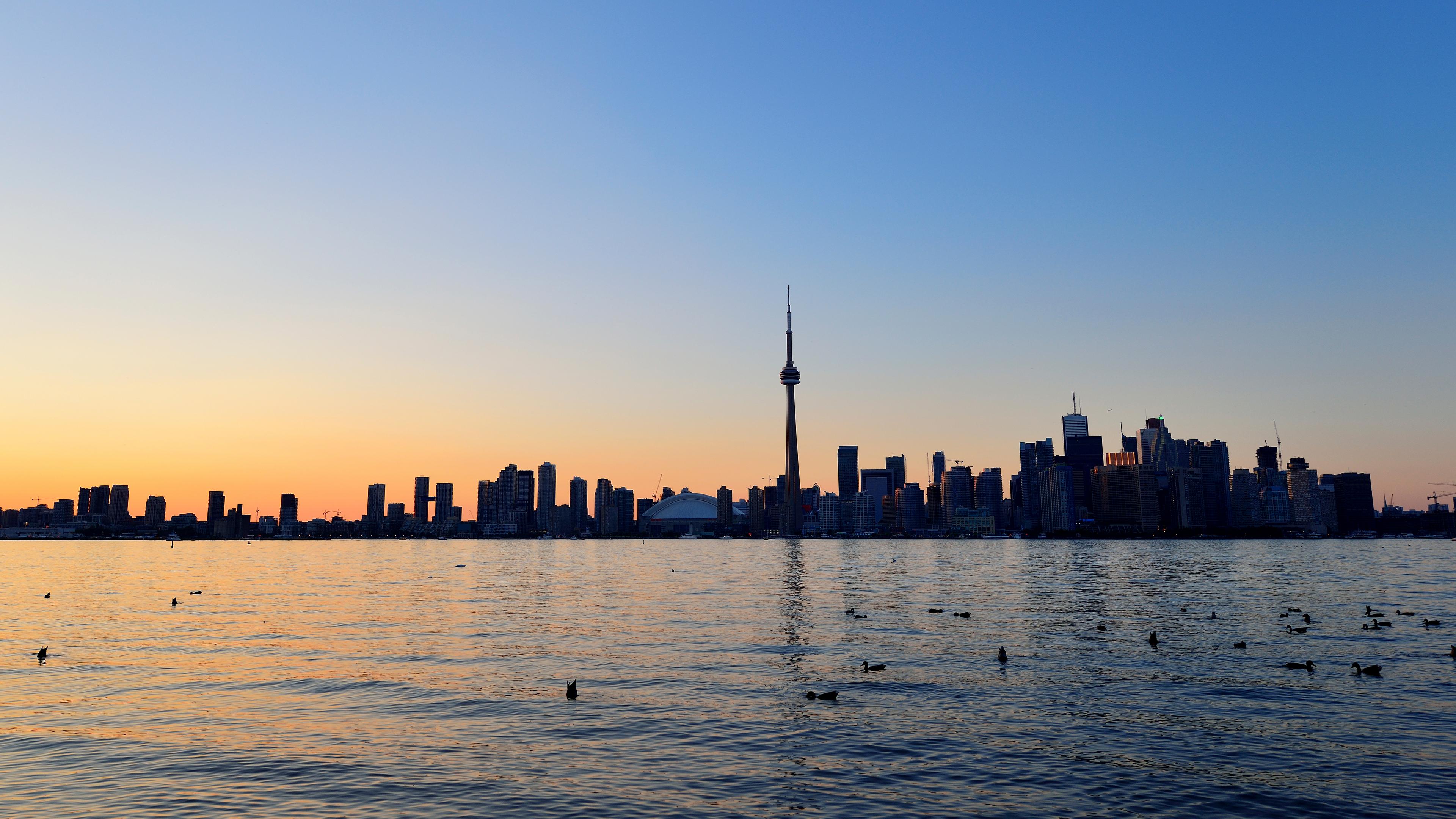 Catalyzing Global MLS Collaboration: Toronto 2025 Preview